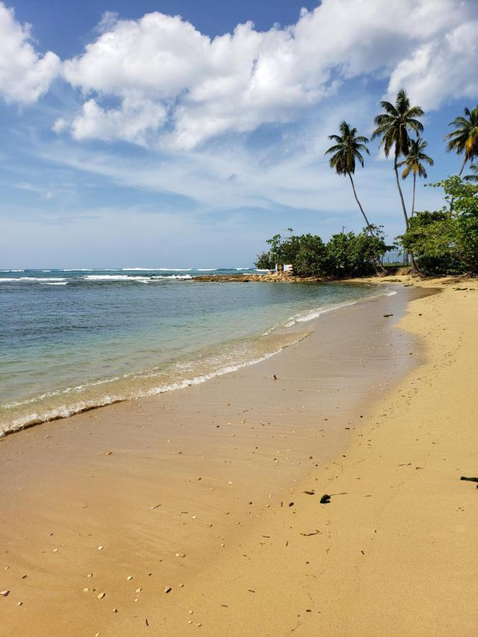 Beach Villas Dorado Puerto Rico Eksteriør bilde